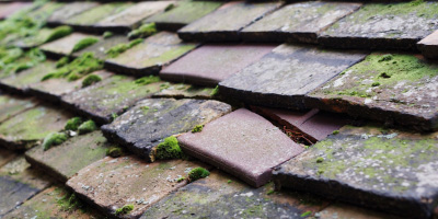 Cores End roof repair costs